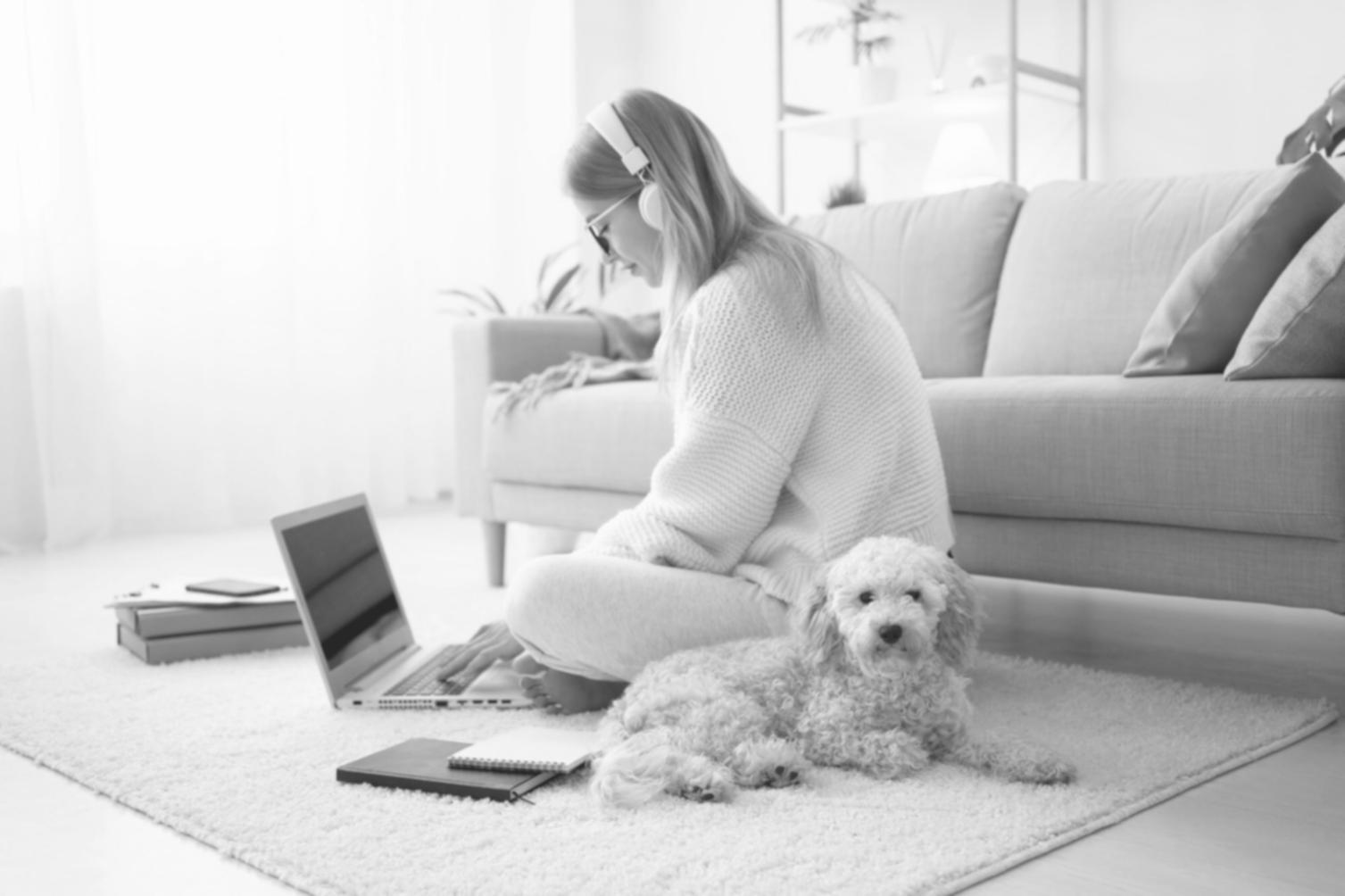 Financial planning workspace with organized documents and calculator